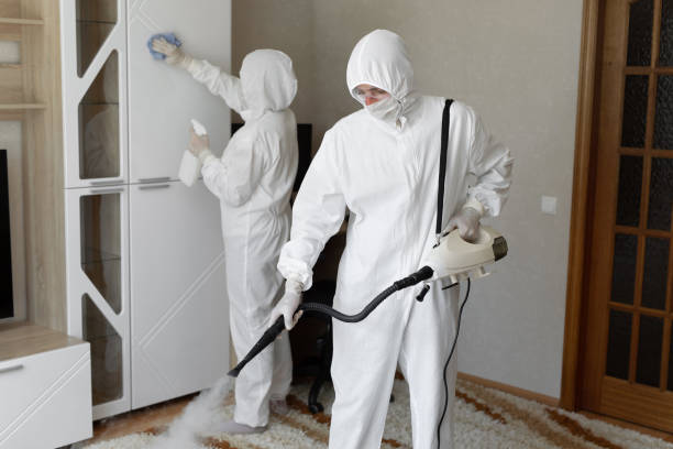 24/7 Emergency Odor Removal experts in Ponca, NE